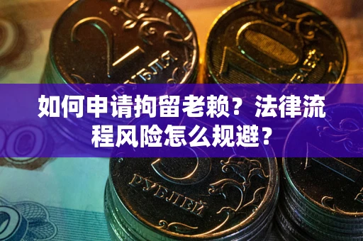 武汉如何申请拘留老赖？法律流程风险怎么规避？