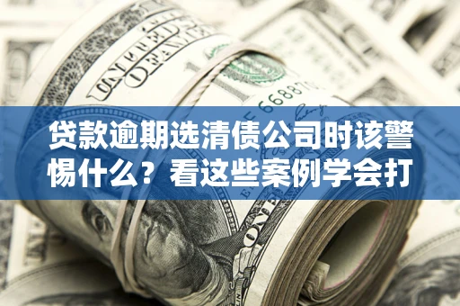 武汉贷款逾期选清债公司时该警惕什么？看这些案例学会打翻身仗