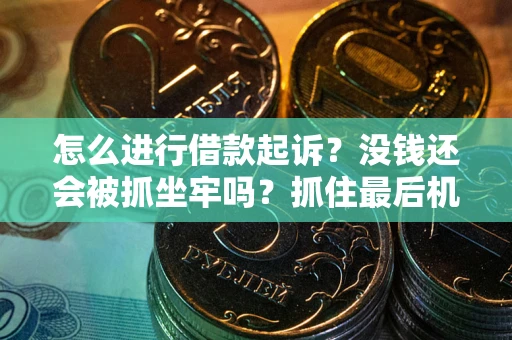 武汉怎么进行借款起诉？没钱还会被抓坐牢吗？抓住最后机会！