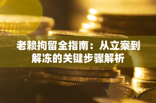 武汉老赖拘留全指南：从立案到解冻的关键步骤解析