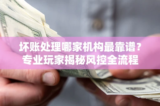 武汉坏账处理哪家机构最靠谱？专业玩家揭秘风控全流程
