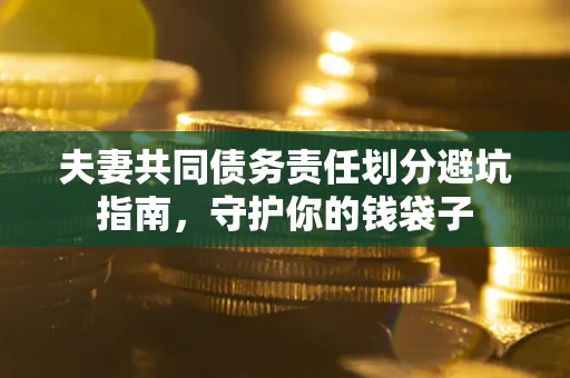 武汉夫妻共同债务责任划分避坑指南，守护你的钱袋子
