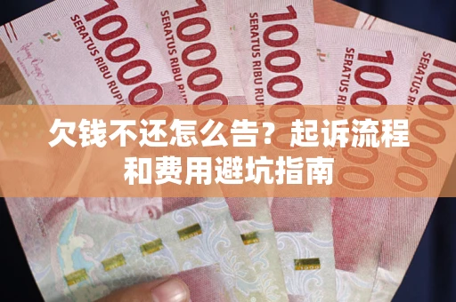 武汉欠钱不还怎么告？起诉流程和费用避坑指南