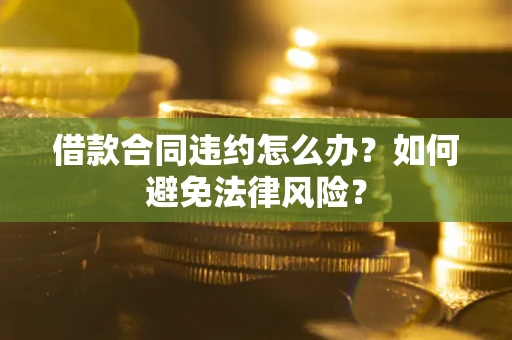 武汉借款合同违约怎么办？如何避免法律风险？