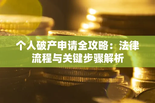 武汉个人破产申请全攻略：法律流程与关键步骤解析