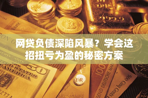 武汉网贷负债深陷风暴？学会这招扭亏为盈的秘密方案